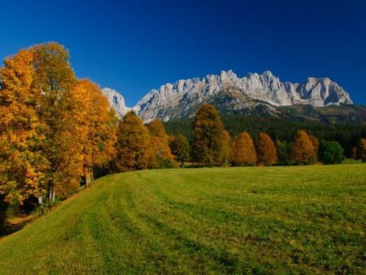Einfamilienhaus zum Kauf 150 m² 800 m² Grundstück St. Johann in Tirol 6380