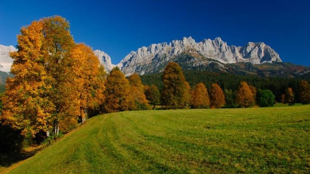 Einfamilienhaus zum Kauf 150 m² 800 m² Grundstück St. Johann in Tirol 6380