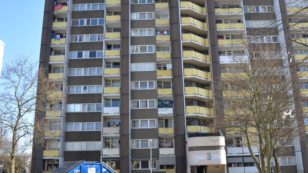 Wohnung zur Miete 650 € 2 Zimmer 40 m² 11. Geschoss an der Fur 3 Immendorf Köln 50997