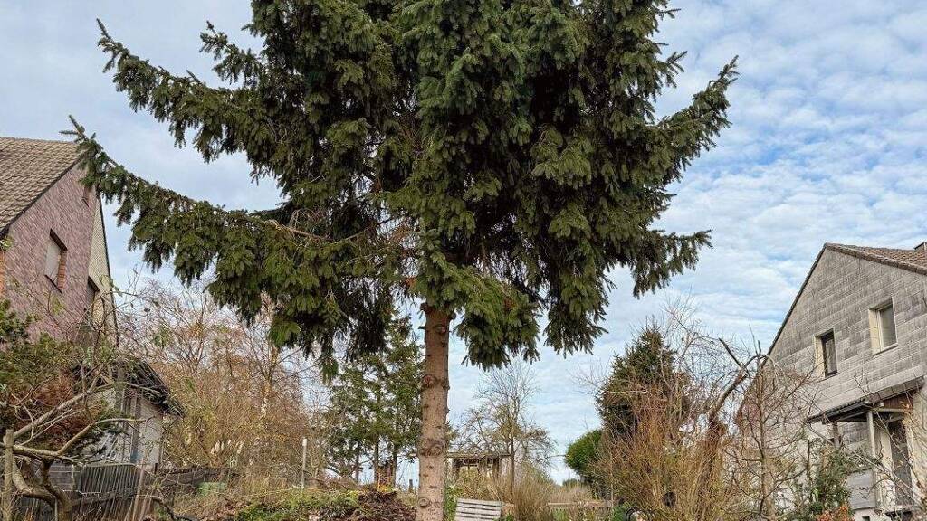 Grundstück zum Kauf 69.000 € 513 m² Grundstück Röhe Eschweiler 52249