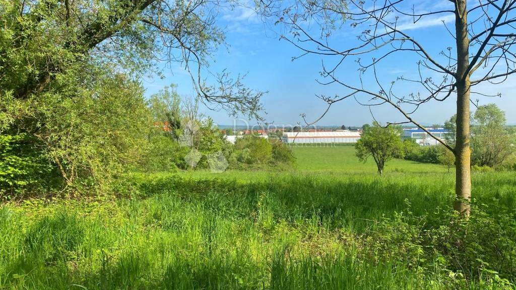 Land-/Forstwirtschaft zum Kauf 37.000 € Sveta Nedelja