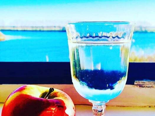 Wohnung zur Miete 957 € 3 Zimmer 68 m² frei ab sofort Süderstapel 25879