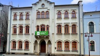 Büro-/Praxisfläche zur Miete provisionsfrei 290 € 1 Zimmer Sebnitz Sebnitz 01855