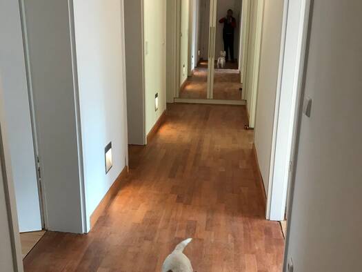 Terrassenwohnung zum Kauf provisionsfrei 389.000 € 3 Zimmer 85,4 m² Geschoss EG/3 frei ab sofort Köpenick Berlin 12559