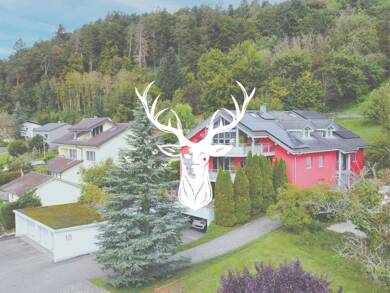 Mehrfamilienhaus zum Kauf 1.490.000 € 420 m² Hohentengen Hohentengen am Hochrhein 79801