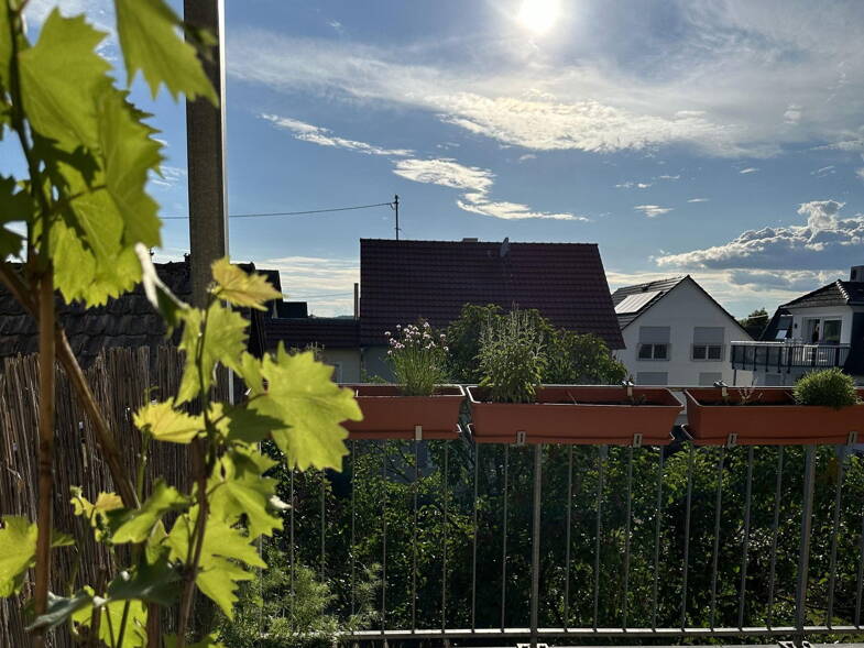 Wohnung zur Miete 1.350 € 4 Zimmer 125 m² 1. Geschoss frei ab sofort Weingarten 88250