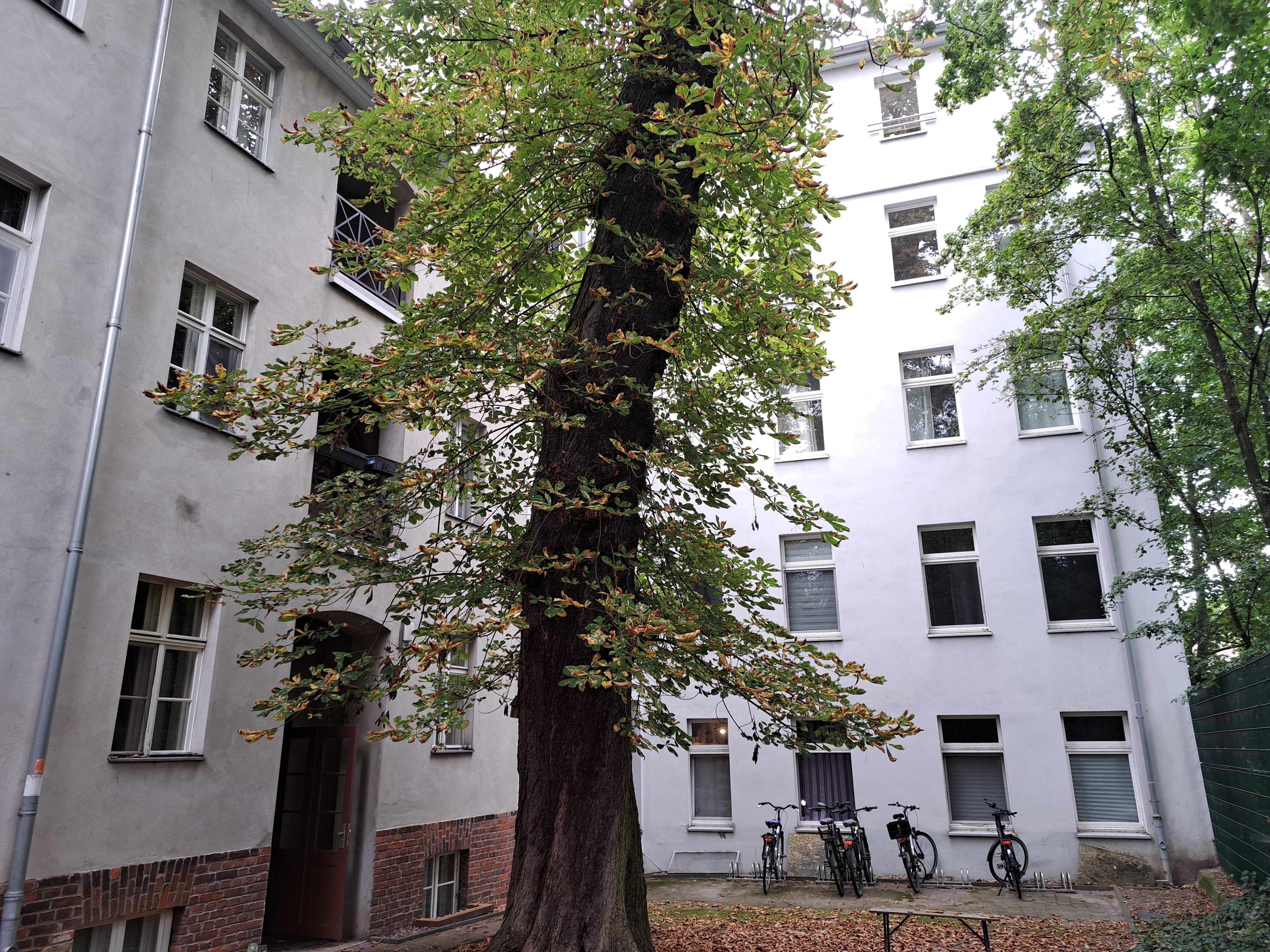 Wohnung zum Kauf 419.500 € 2 Zimmer 86 m²<br/>Wohnfläche 2.<br/>Geschoss ab sofort<br/>Verfügbarkeit Krumme Straße Charlottenburg Berlin 10585