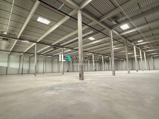 Lagerhalle zur Miete 10.000 m² Lagerfläche teilbar ab 400 m² Eppertshausen 64859