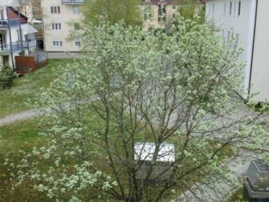 Wohnung zum Kauf als Kapitalanlage geeignet 172.000 € 2 Zimmer 57,7 m² Garching Garching an der Alz 84518