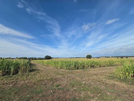 Land-/Forstwirtschaft zum Kauf 171.000 € 18.041 m² Grundstück Belzheim Ehingen a.Ries 86741