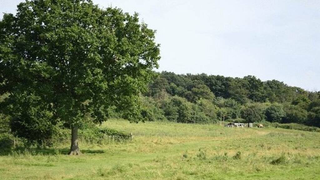 Grundstück zum Kauf 275.000 € 25.000 m² Grundstück Tiefenbach 93464