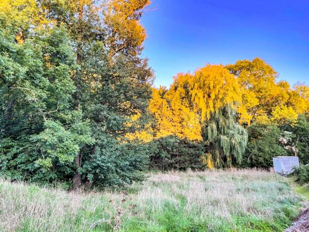 Grundstück zum Kauf 140.000 € 1.852 m² Grundstück Kleinwolmsdorf Arnsdorf 01477