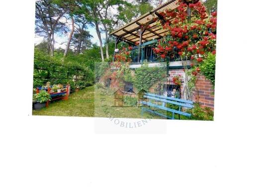 Haus zum Kauf 59.000 € 1 Zimmer 30 m² 578 m² Grundstück Münchehofe Müncheberg / Münchehofe 15374