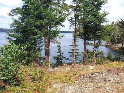 Grundstück zum Kauf 80.800 € 4.980 m² Grundstück frei ab sofort Liscomb B0J 2A0