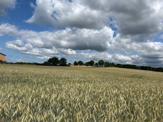 Grundstück zum Kauf 152.000 € 4.000 m² Grundstück Birkach a. Forst Untersiemau / Birkach am Forst 96253