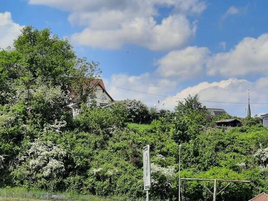 Grundstück zum Kauf 53.500 € 509 m² Grundstück frei ab sofort Kusel Kusel 66869