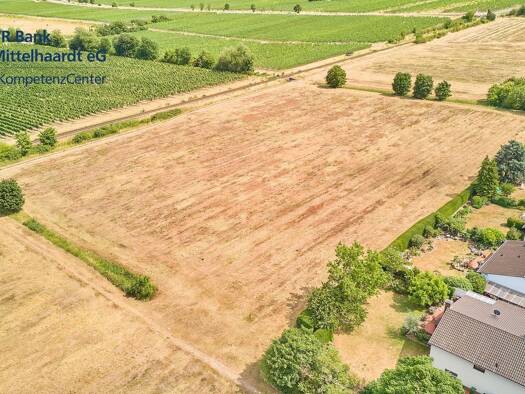 Grundstück zum Kauf 311.850 € 450 m² Grundstück Am Schwabenbach 36 Wachenheim an der Weinstraße 67157