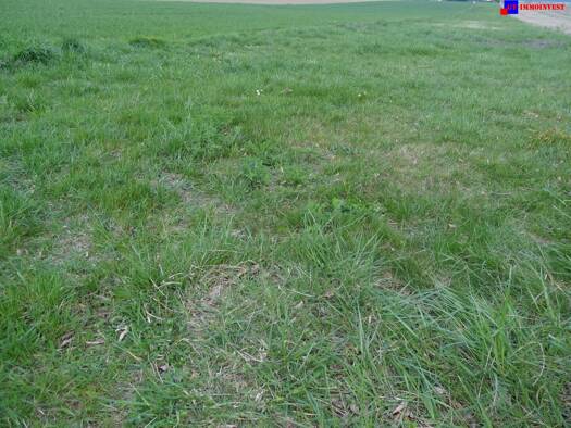 Grundstück zum Kauf 660.000 € 4.400 m² Grundstück Hirm 7024