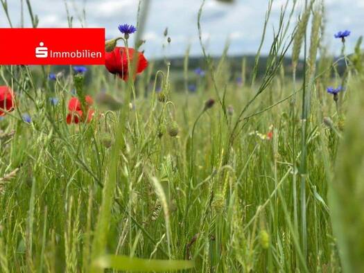 Grundstück zum Kauf 155.000 € 800 m² Grundstück Bauerbach Marburg 35043