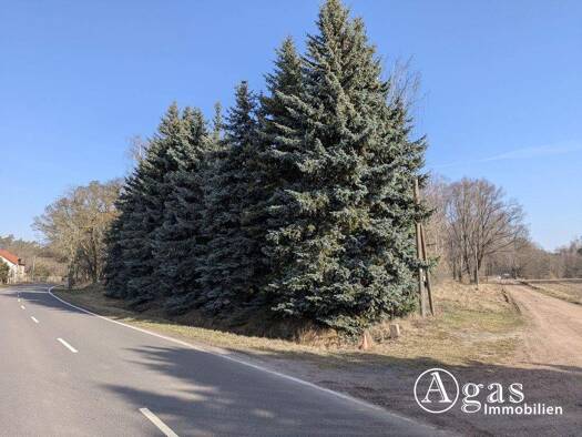 Land-/Forstwirtschaft zum Kauf 11.000 € 3.313 m² Grundstück Stackelitz 06868