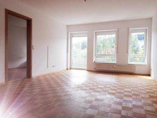 Wohnung zur Miete 650 € 2 Zimmer 50,1 m² 2. Geschoss Tuttlingen 78532