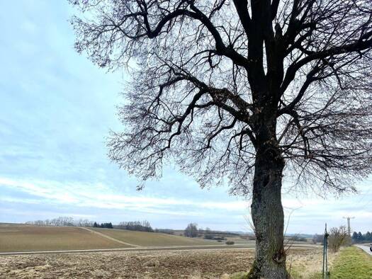 Landwirtschaftliche Fläche zum Kauf 258.786 € 15.684 m² Grundstück Pförring 85104