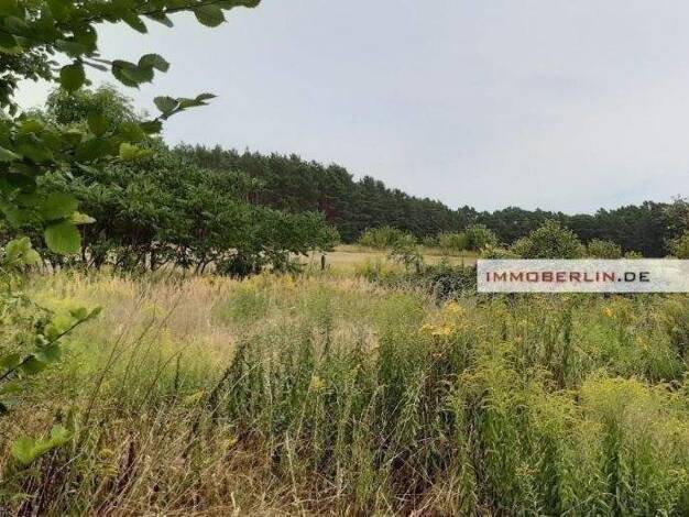 Grundstück zum Kauf 420.000 € 2.553 m² Grundstück Zernsdorf Königs Wusterhausen 15712