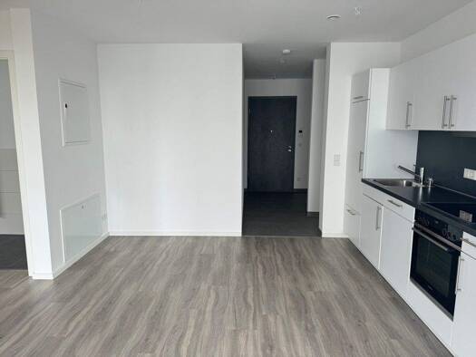 Wohnung zur Miete 550 € 2 Zimmer 48,5 m² 1. Geschoss frei ab 01.05.2026 Grubweg Passau 94034