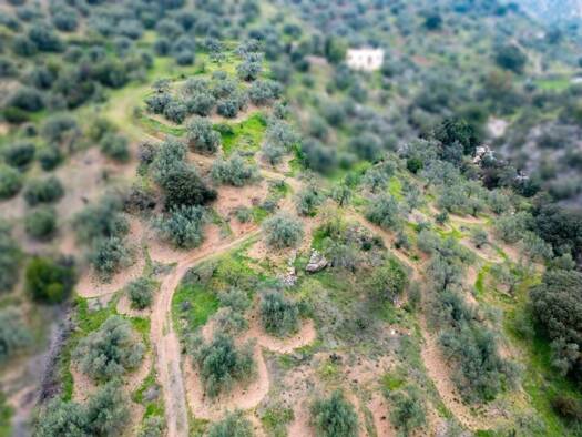 Acker-/Waldstück zum Kauf 43.000 € Riogordo 29180