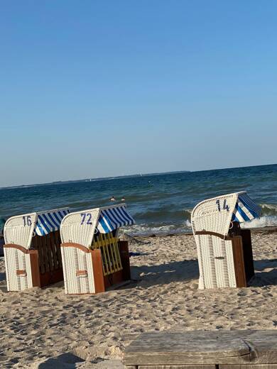 Wohnung zur Miete 850 € 2 Zimmer 54 m² EG frei ab sofort Timmendorfer Strand Timmendorfer Strand 23669