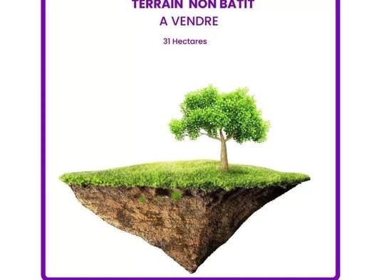 Sonstiges zum Kauf 11.816.396 € 20.000 m² Rabat