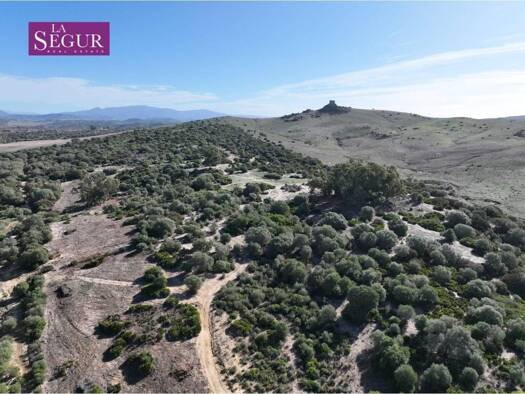 Acker-/Waldstück zum Kauf 177.500 € Medina Sidonia 11170
