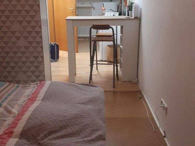 Studio zur Miete 300 € 1 Zimmer 20 m² 1. Geschoss Bad Soden Bad Soden-Salmünster 63628