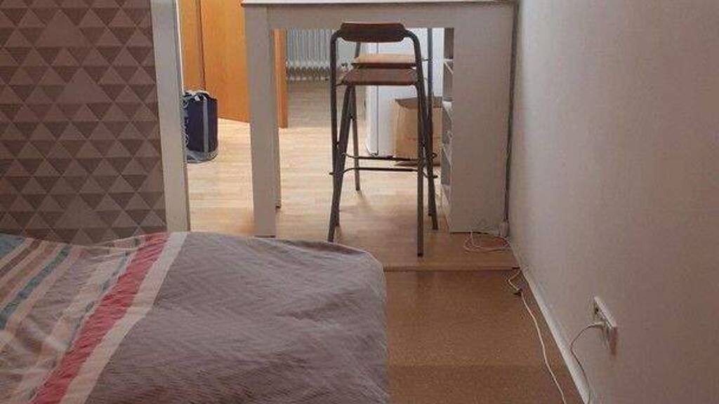 Studio zur Miete 300 € 1 Zimmer 20 m² 1. Geschoss Bad Soden Bad Soden-Salmünster 63628