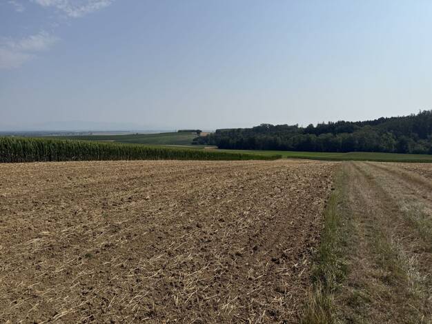 Land-/Forstwirtschaft zum Kauf 6.381 m² Grundstück Grünhain Grünhain-Beierfeld