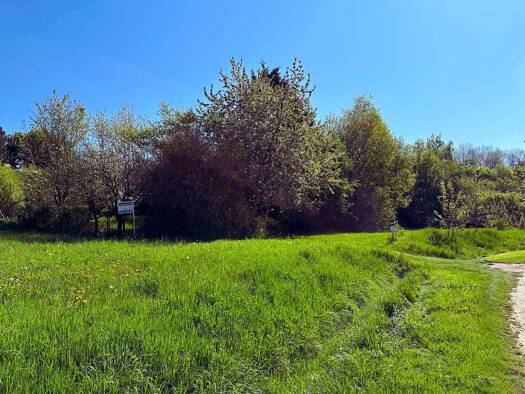 Land-/Forstwirtschaft zum Kauf 24.500 € 900 m² Grundstück Kunitz Jena 07751