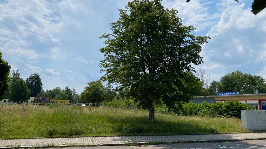 Grundstück zum Kauf 60.800 € 355 m² Grundstück Lucka 04613