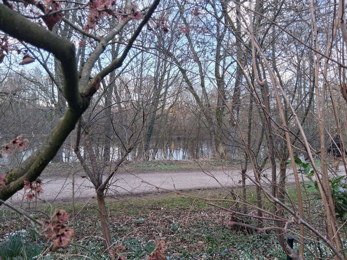 Einfamilienhaus zum Kauf - Ansicht 3