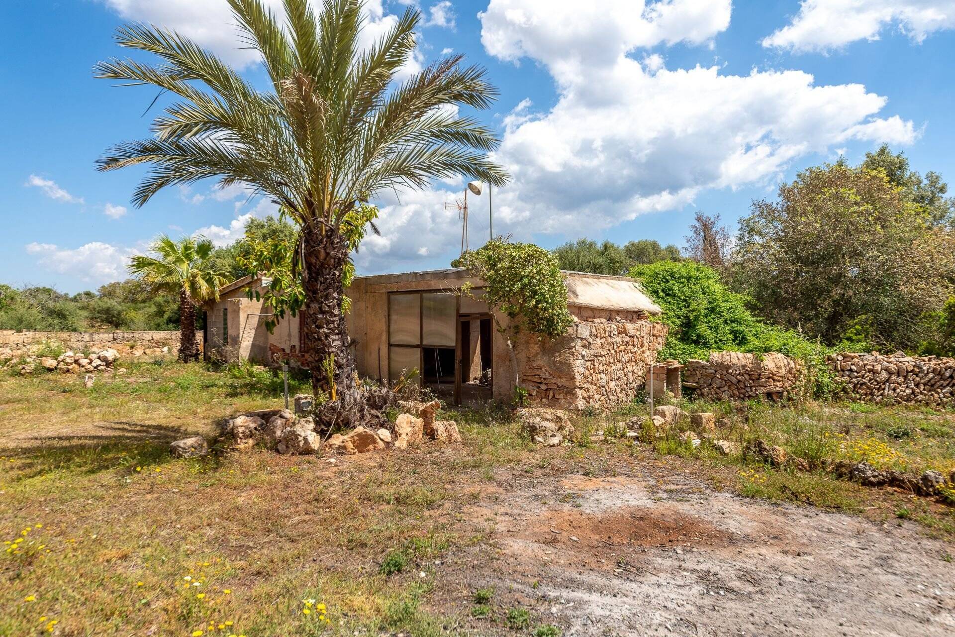 Immobilie in Bad Klosterlausnitz - Rustikale Finca mit viel Potential in Vallgonera - Bild 4