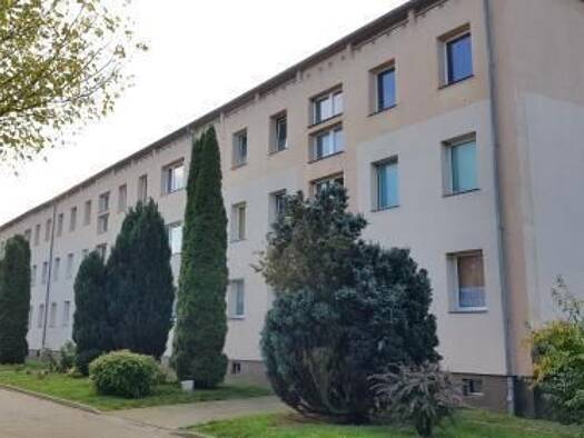 Wohnung zur Miete 295 € 1 Zimmer 31,8 m² frei ab 01.11.2026 Wackerow Wackerow 17498