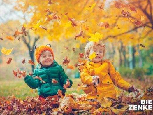 Einfamilienhaus zum Kauf 1.105.000 € 10 Zimmer 167 m² 1.000 m² Grundstück Briesnitz Dresden 01157