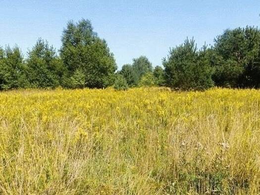 Grundstück zum Kauf 1.288 m² Grundstück ATTIKA /SARONIS 190 13