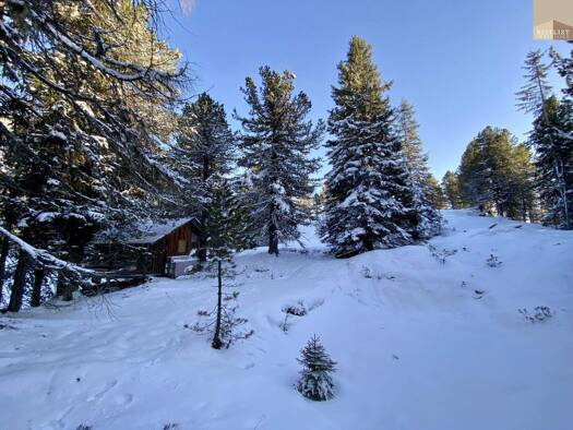 Grundstück zum Kauf 665.000 € 665 m² Grundstück Turracherhöhe 9565