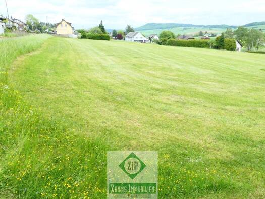 Grundstück zum Kauf 25.480 € 728 m² Grundstück Büdesheim 54610