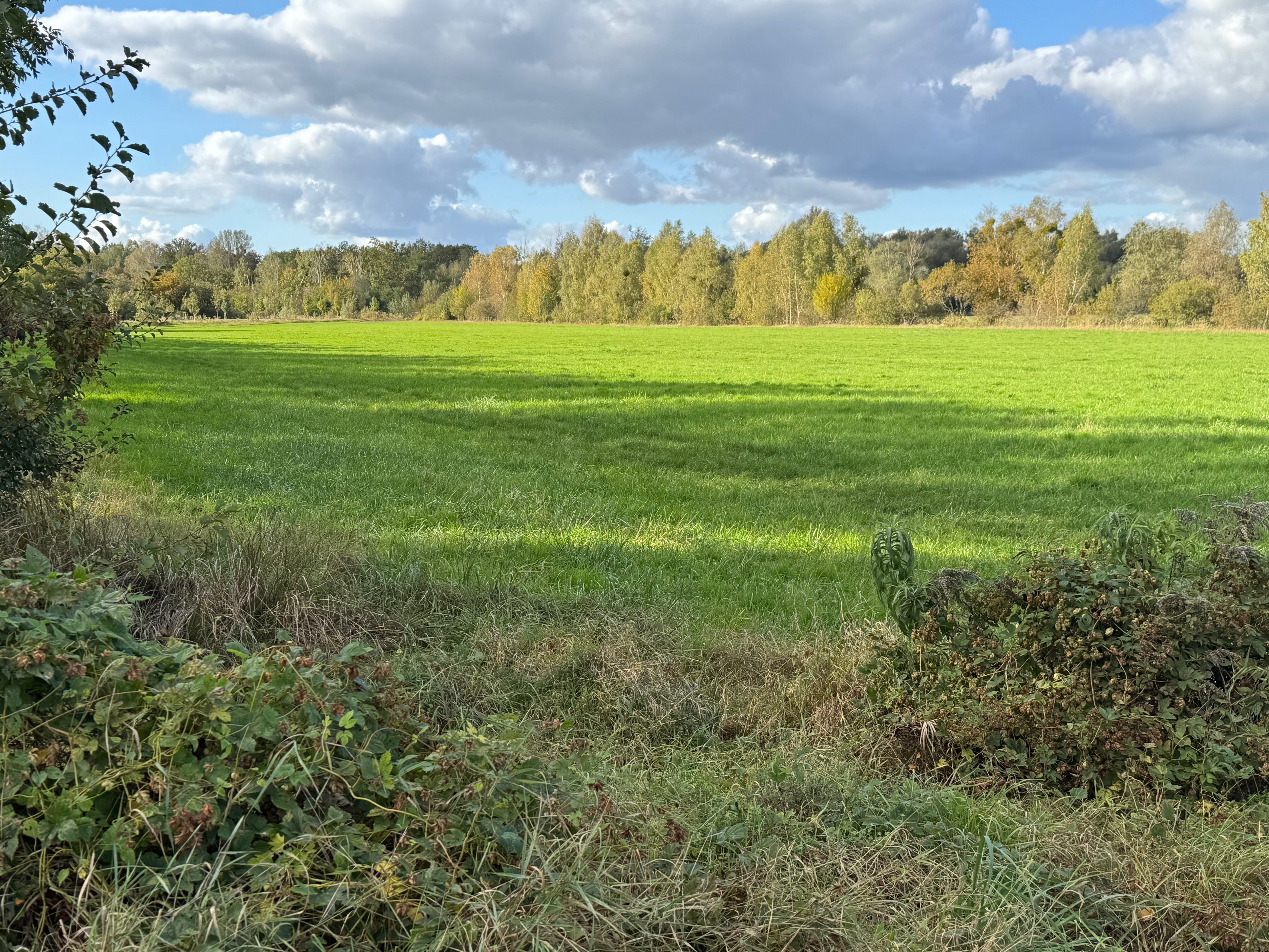 Grundstück zum Kauf provisionsfrei 1.370 m²<br/>Grundstück Rohrbeck Dallgow-Döberitz 14624