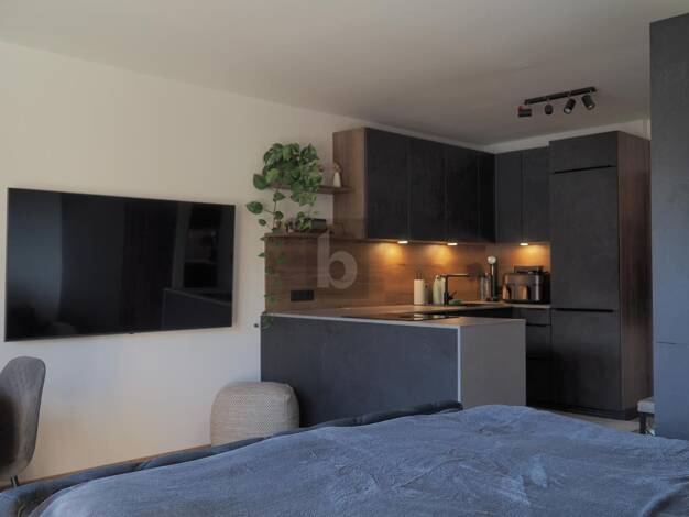 Studio zum Kauf 224.000 € 1 Zimmer 31 m² Salzburg 5020