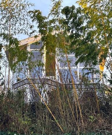 Einfamilienhaus zum Kauf 590.000 € 5 Zimmer 106 m² 2.600 m² Grundstück Bosau Bosau 23715