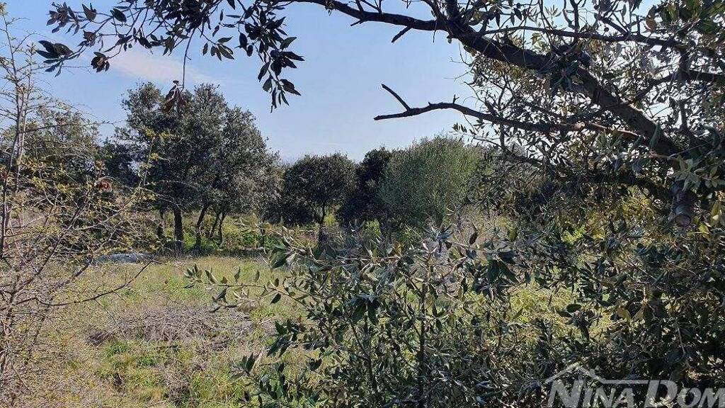 Land-/Forstwirtschaft zum Kauf 190.000 € Vir