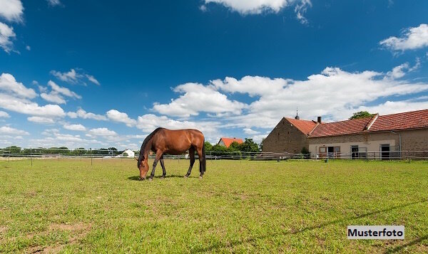 Land-/Forstwirtschaft zum Kauf 252.000 € 5.187 m²<br/>Grundstück Raubling 83064