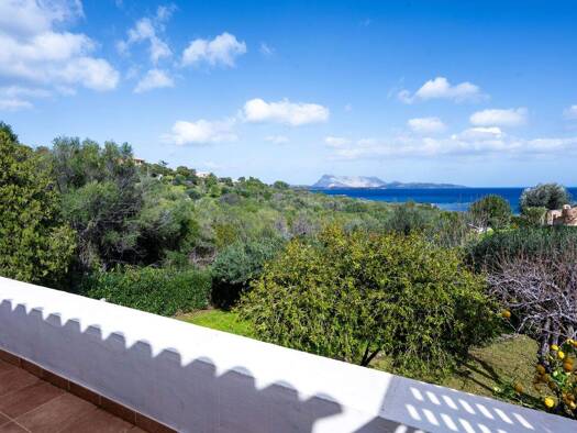 Haus zum Kauf 950.000 € 1 Zimmer 650 m² Grundstück frei ab sofort San Teodoro 07052